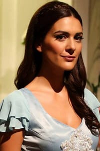 Berguzar Korel - Feride
