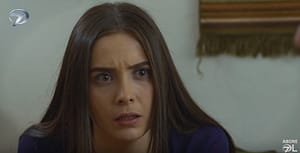 Elif – 349. i 350. epizoda – Životi Zejnep i bebe su ugroženi!