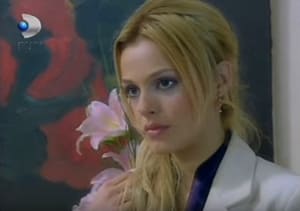 Junska noć – od 73. do 77. epizode – Su je izvršila samoubistvo, život Havin i bebe je ugrožen!