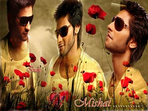 Mishal Raheja - Data
