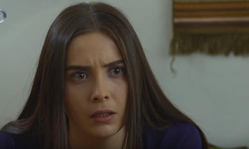 Elif – 349. i 350. epizoda – Životi Zejnep i bebe su ugroženi!