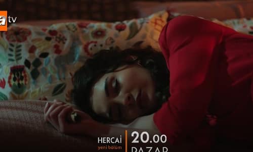 Nemoguća ljubav – 59. epizoda – Rejan prokrvari!