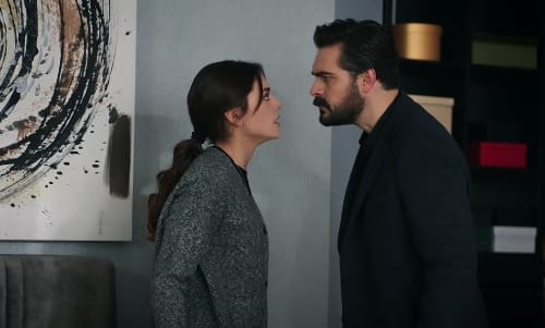 Fatalna ljubav – 132. i 133. epizoda