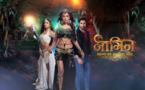 Anketa: "Naagin 4" – da ili ne?