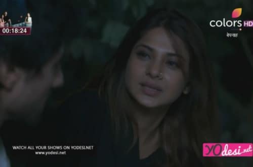 Bepannah – 56. ep. – Zoya i Aditya su u džungli!