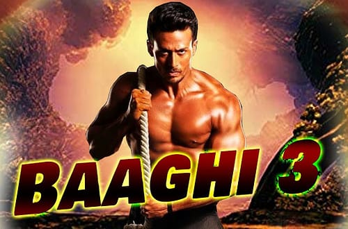 Baaghi 3
